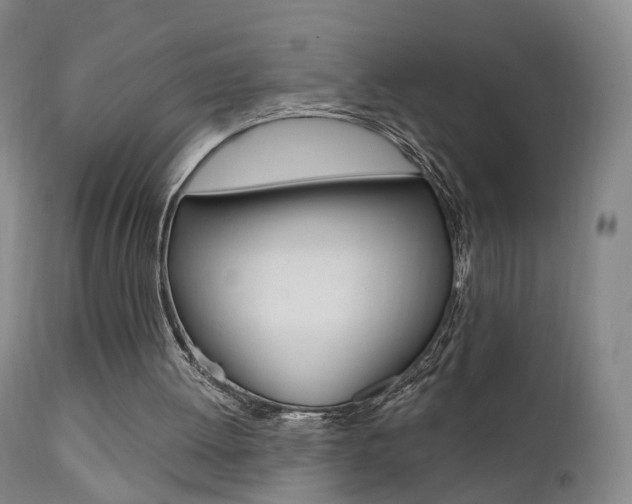 X0000111580052200907161206