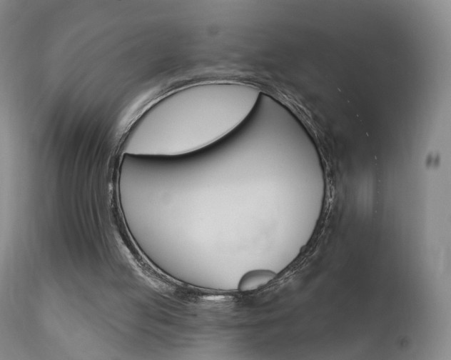 X0000111580053200907161206