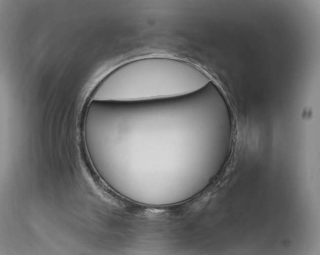 X0000111580055200907161206