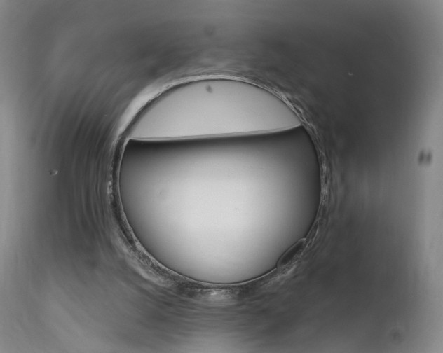 X0000111580056200907161206