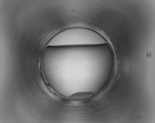 X0000111580057200907161206