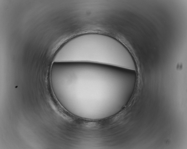 X0000111580058200907161206