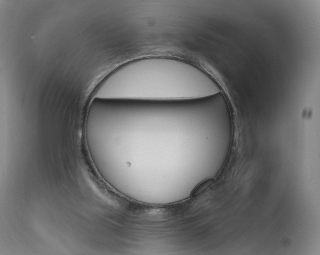 X0000111580059200907161206