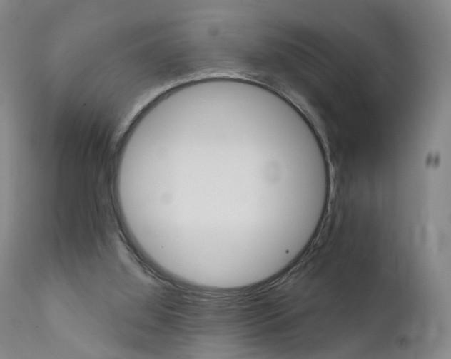 X0000111580060200907161206
