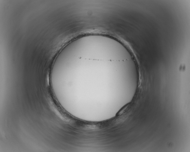 X0000111580061200907161206