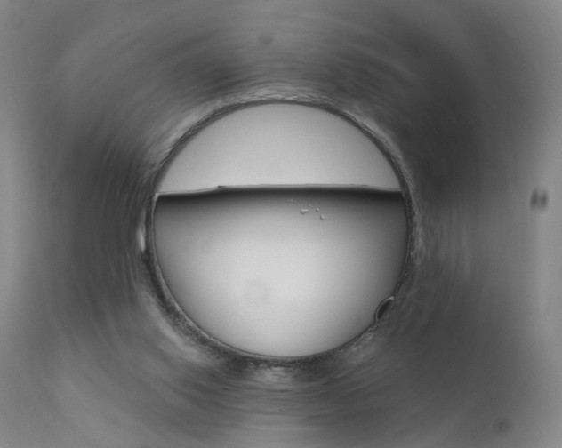 X0000111580062200907161206