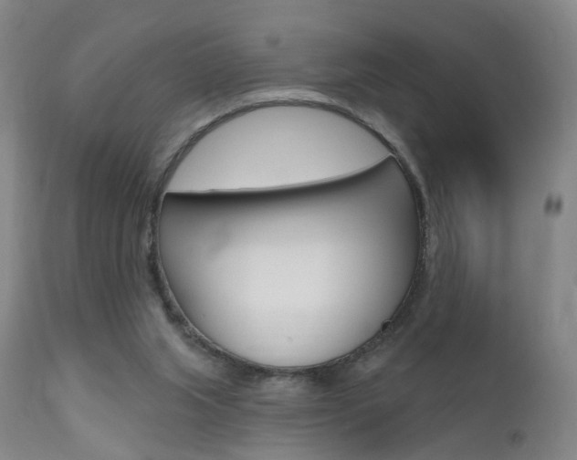 X0000111580063200907161206