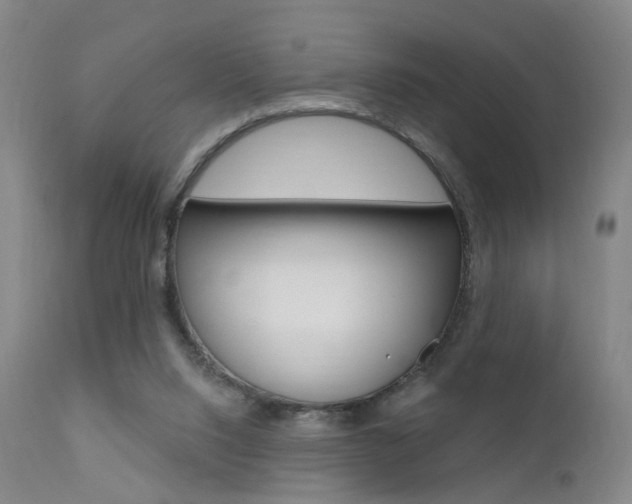 X0000111580064200907161206