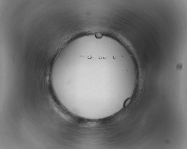 X0000111580065200907161206