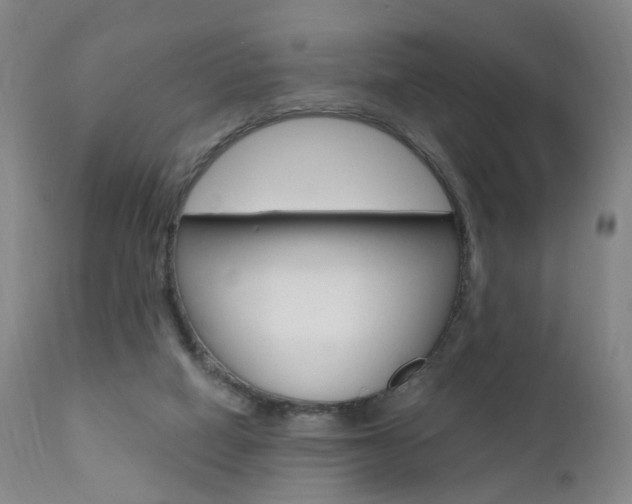 X0000111580066200907161206