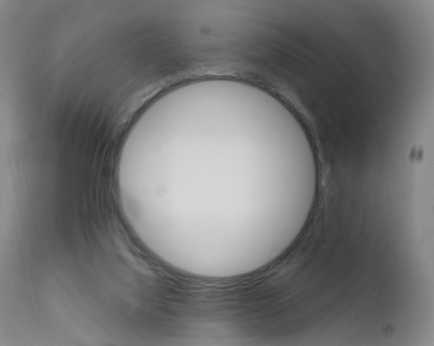 X0000111580068200907161206