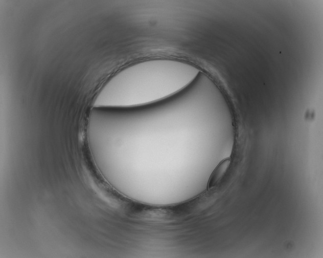 X0000111580069200907161206