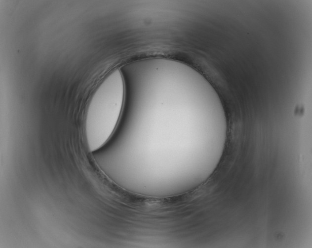 X0000111580070200907161206