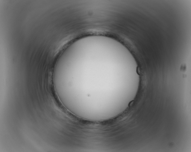 X0000111580071200907161206