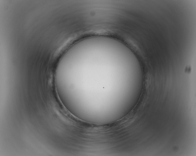 X0000111580072200907161206