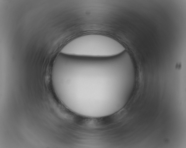 X0000111580074200907161207