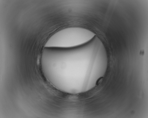 X0000111580075200907161207