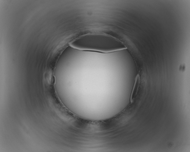 X0000111580076200907161207