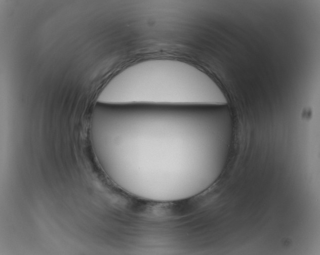 X0000111580078200907161207