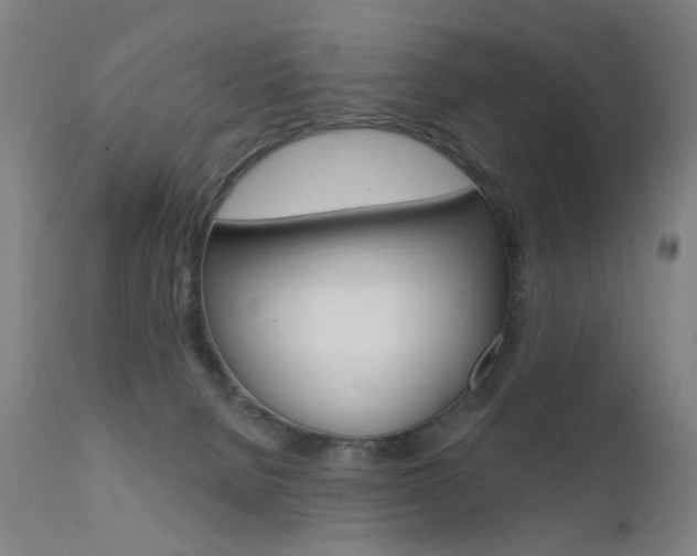 X0000111580080200907161207