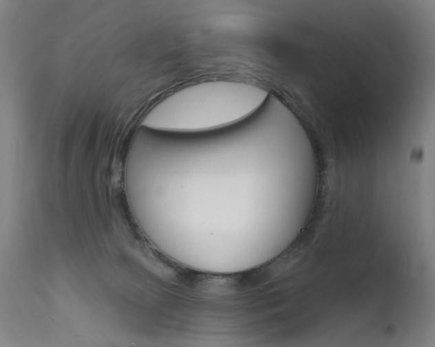 X0000111580081200907161207