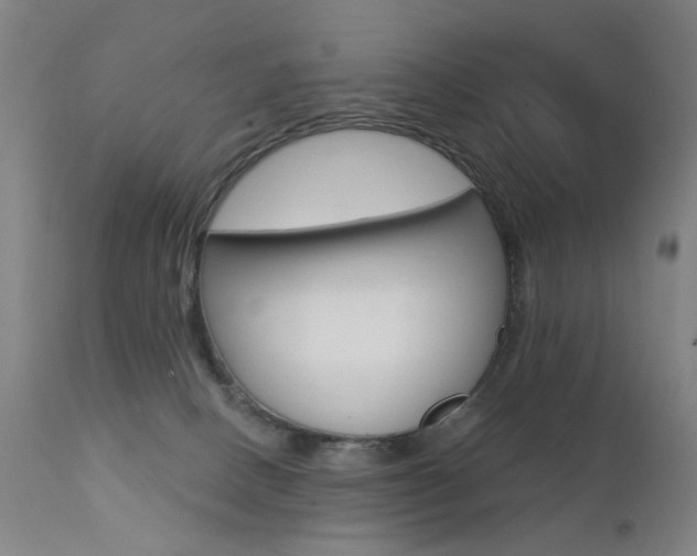 X0000111580082200907161207