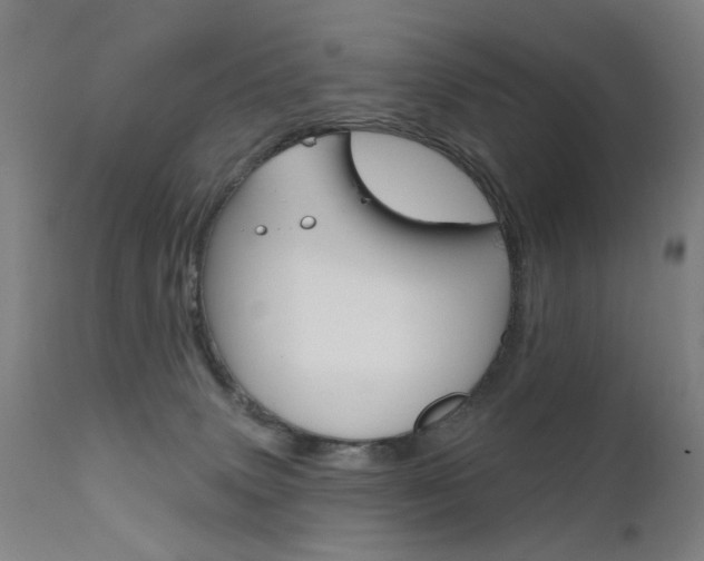 X0000111580083200907161207