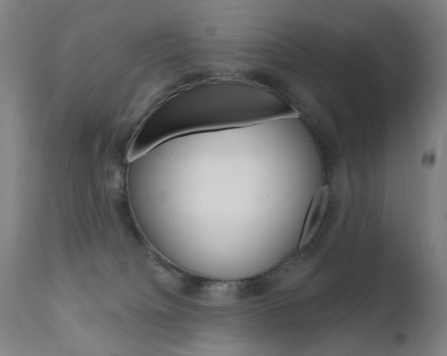 X0000111580084200907161207