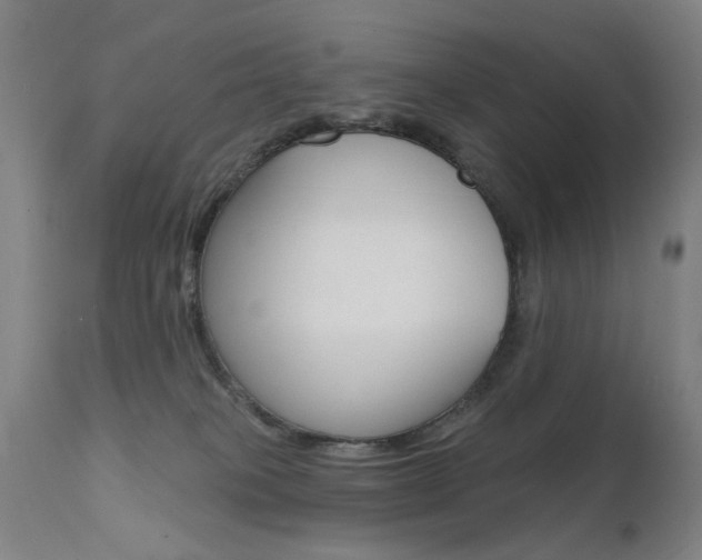 X0000111580085200907161207