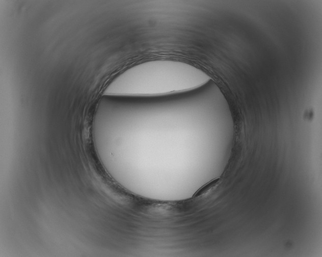 X0000111580086200907161207