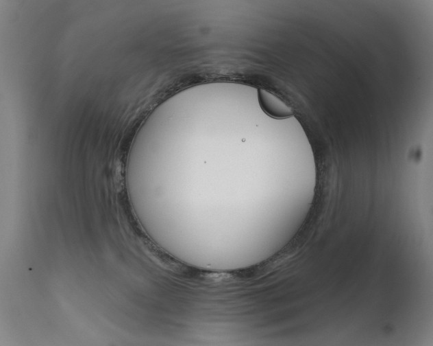 X0000111580087200907161207
