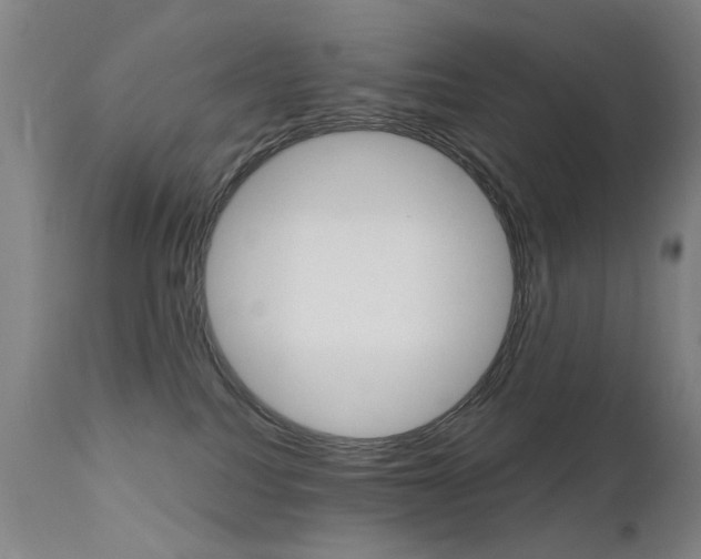 X0000111580088200907161207