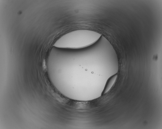 X0000111580089200907161207