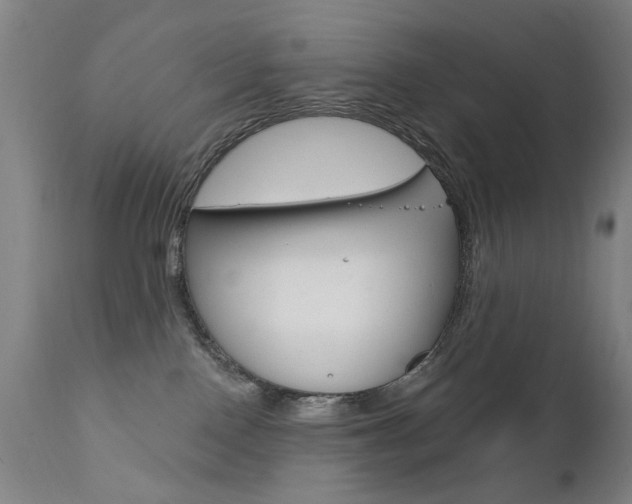 X0000111580090200907161207