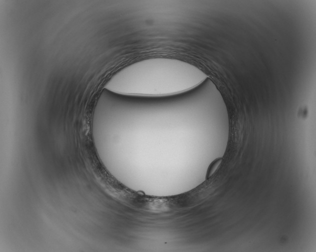 X0000111580091200907161207