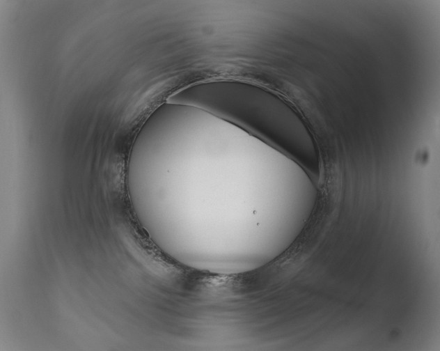 X0000111580092200907161207