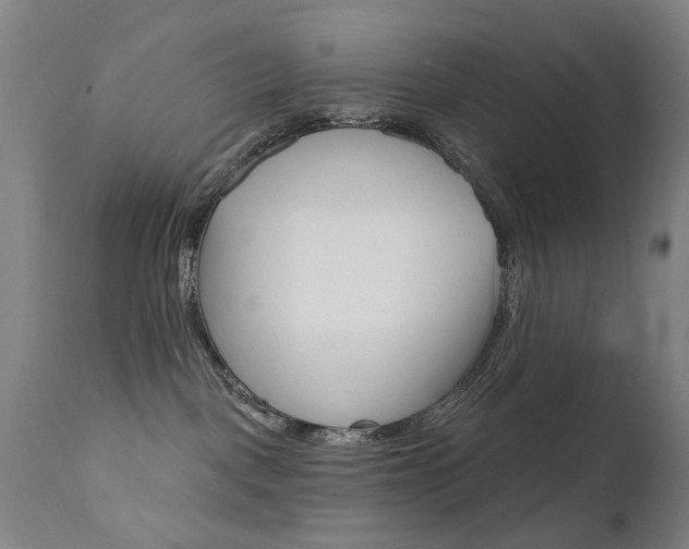 X0000111580093200907161207