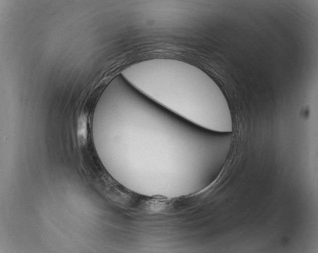X0000111580094200907161207