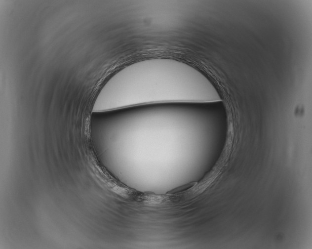 X0000111580096200907161207