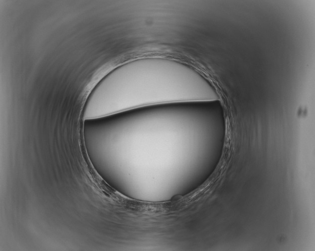 X0000111580099200907161206