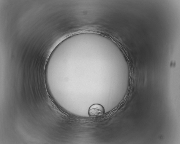 X0000111580100200907161206