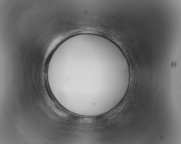 X0000111580102200907161206