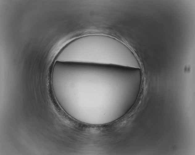 X0000111580103200907161206