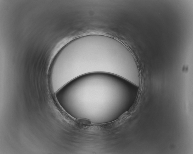X0000111580104200907161206
