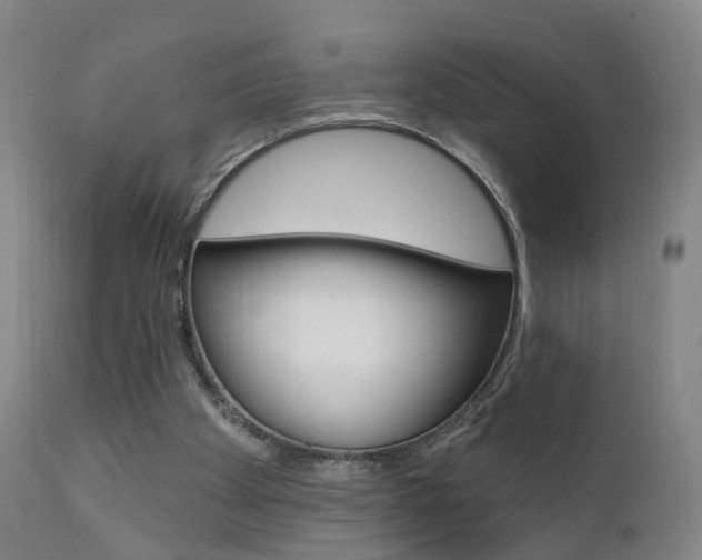 X0000111580105200907161206