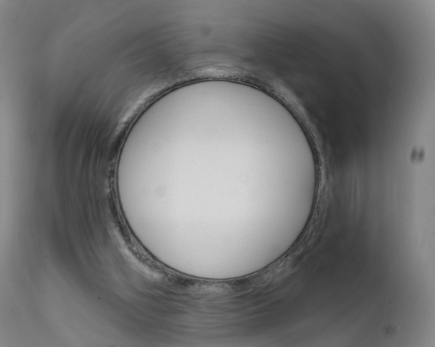 X0000111580106200907161206