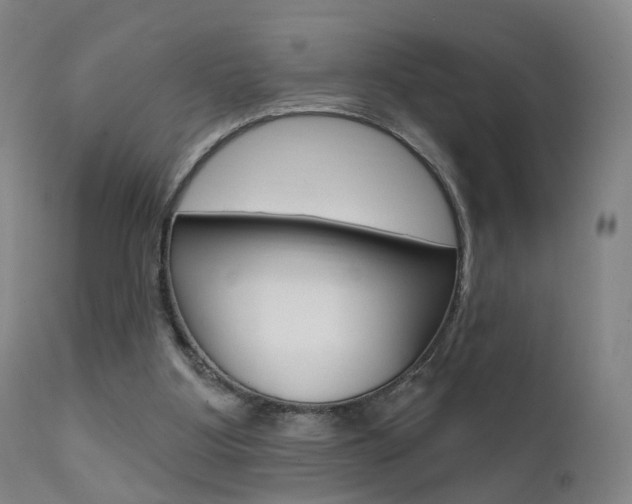 X0000111580107200907161206
