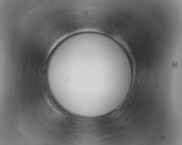 X0000111580108200907161206
