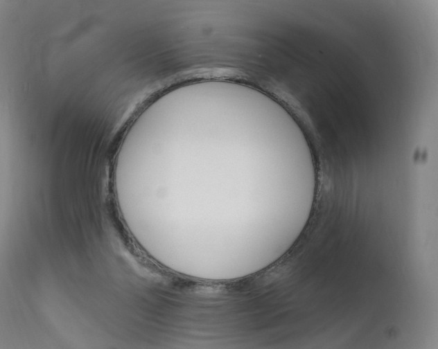 X0000111580110200907161206