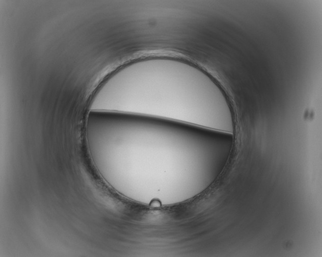 X0000111580111200907161206